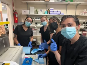 Dental assistant students at Pinnacle Institute